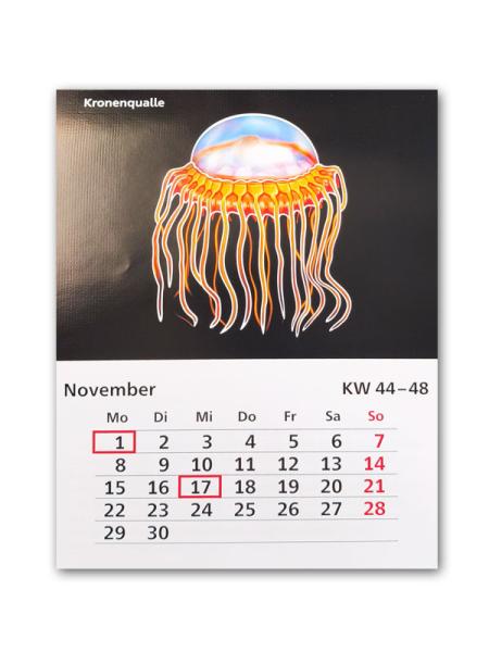Beispielseite Monat November