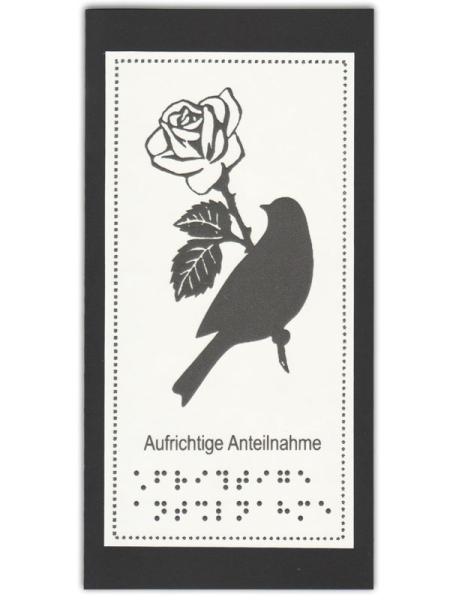 Ansicht Coverbild